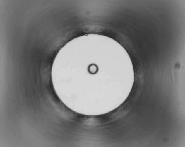 X0000111790460200909031202