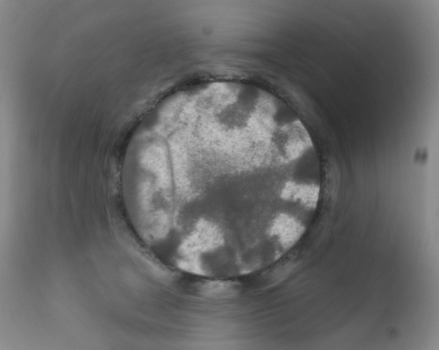 X0000111790465200909031202