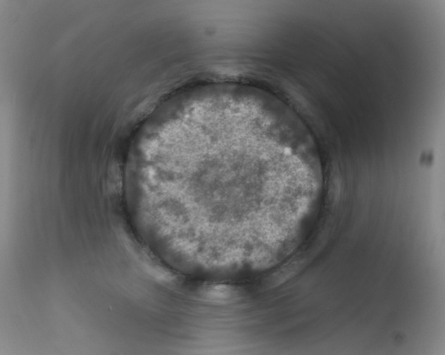 X0000111790467200909031202