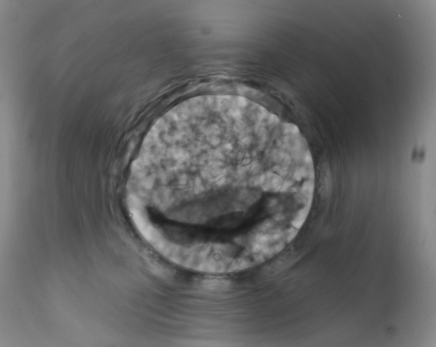 X0000111790471200909031202