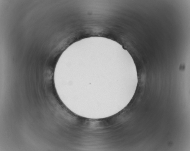 X0000111790472200909031202