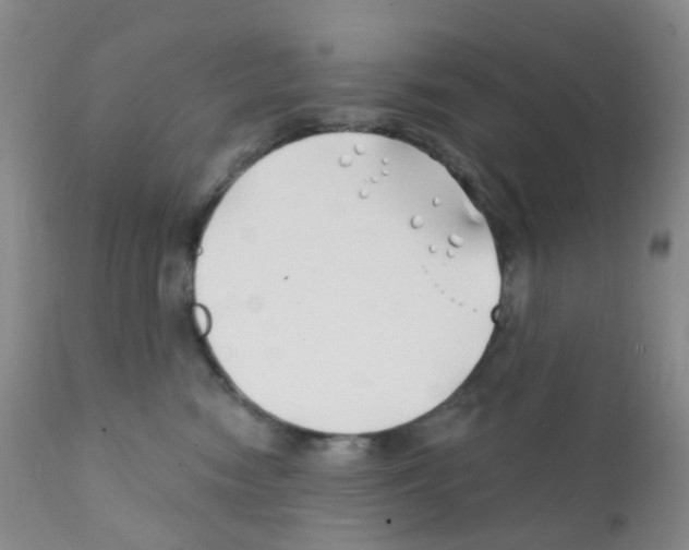 X0000111790474200909031202