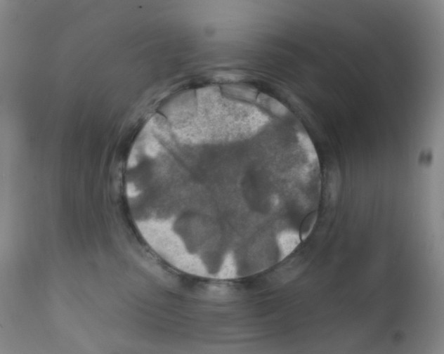 X0000111790475200909031202