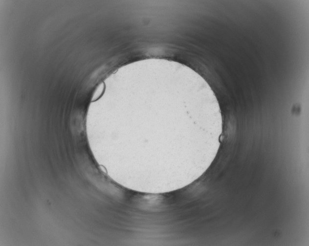 X0000111790478200909031202