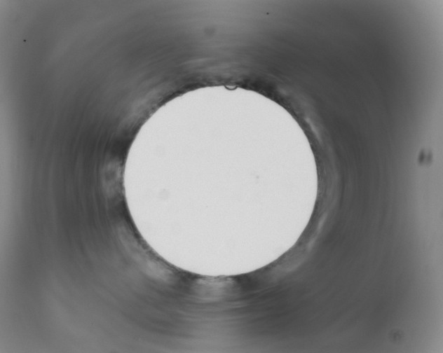 X0000111790480200909031202