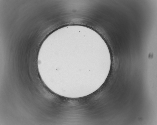 X0000111790481200909031201