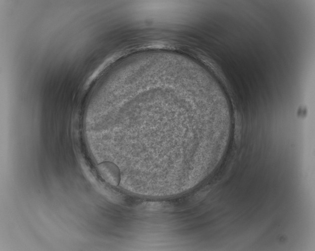 X0000111790482200909031201