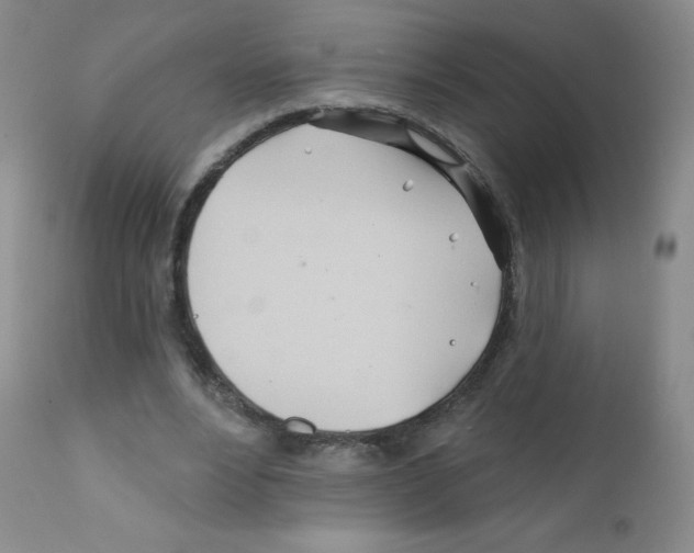 X0000111790488200909031201