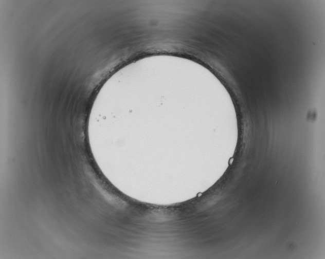 X0000111790489200909031201