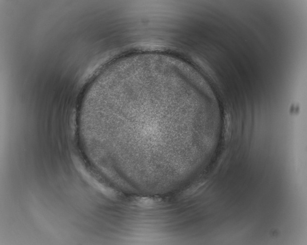 X0000111790494200909031201