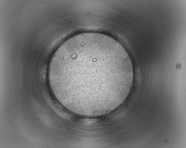 X0000111790495200909031201