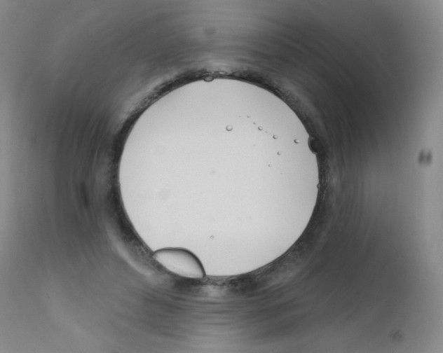 X0000111790496200909031201