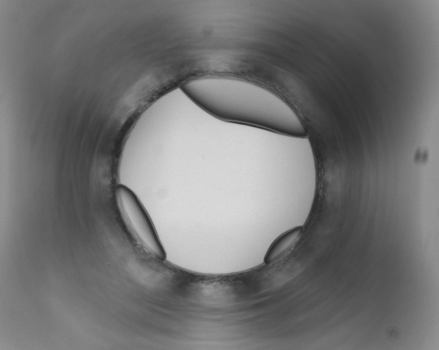 X0000111790500200909031201