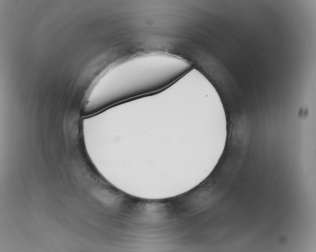 X0000111790501200909031201