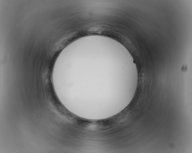 X0000111790504200909031201