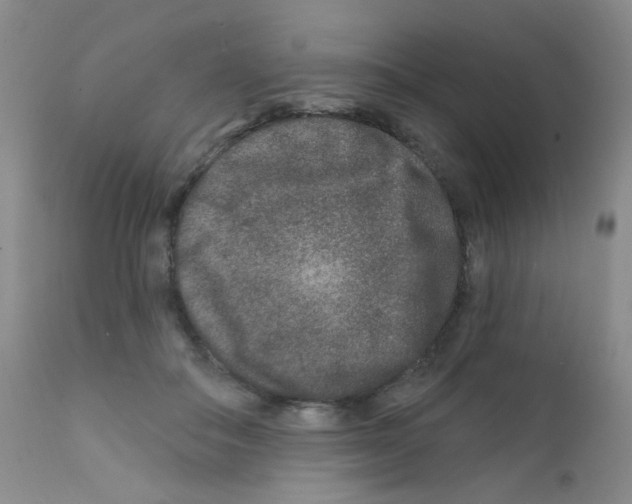 X0000111790506200909031201