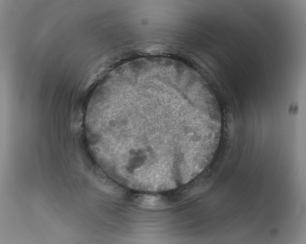 X0000111790507200909031201