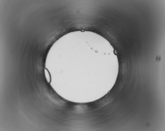 X0000111790508200909031201