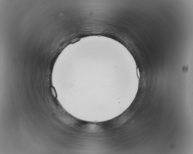 X0000111790509200909031201