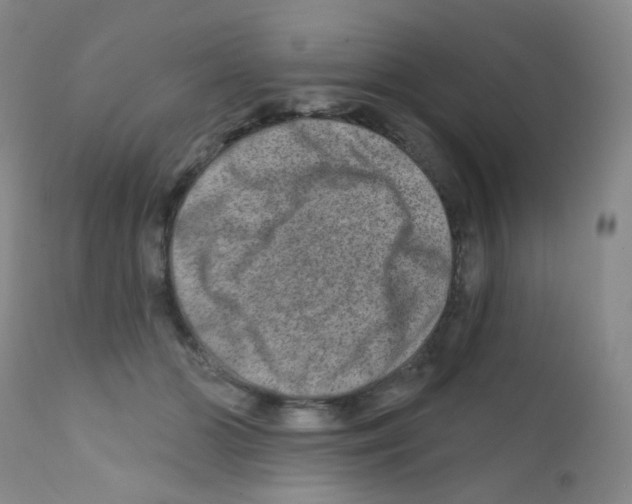 X0000111790510200909031201