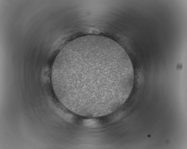 X0000111790511200909031201