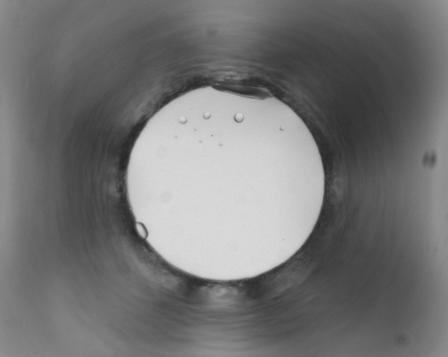 X0000111790512200909031201