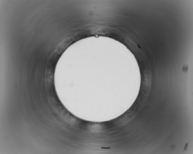 X0000111790513200909031201