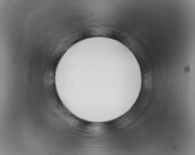 X0000111790514200909031201