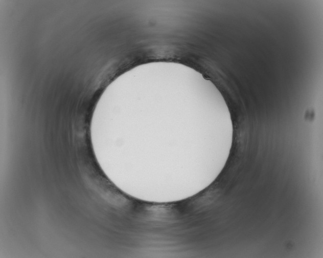 X0000111790516200909031201