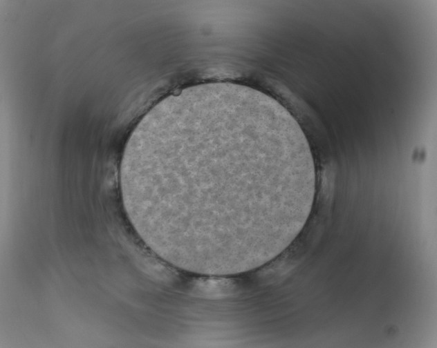 X0000111790517200909031200