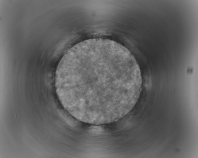 X0000111790519200909031200