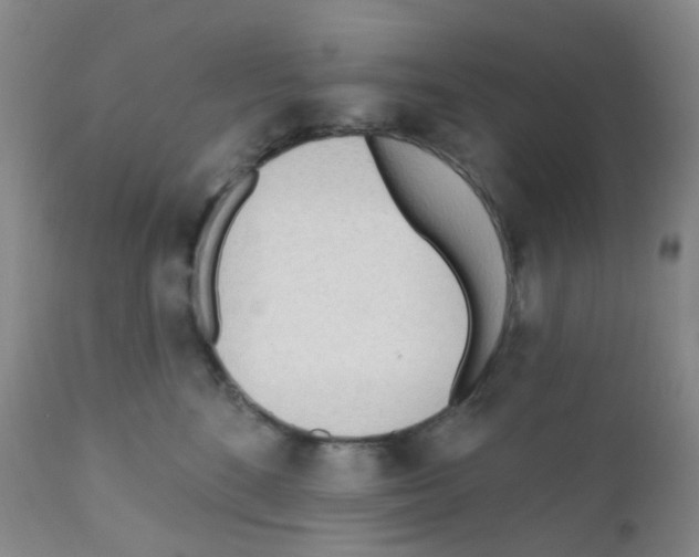 X0000111790520200909031200