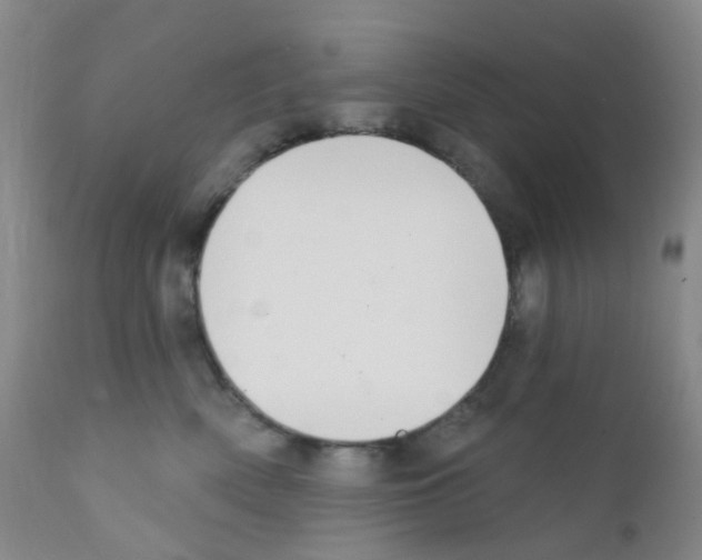 X0000111790522200909031200