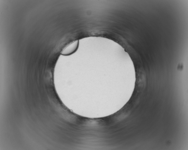 X0000111790523200909031200