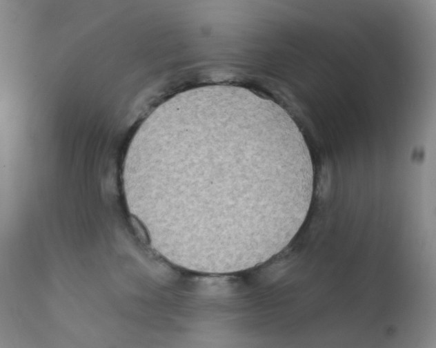 X0000111790524200909031200