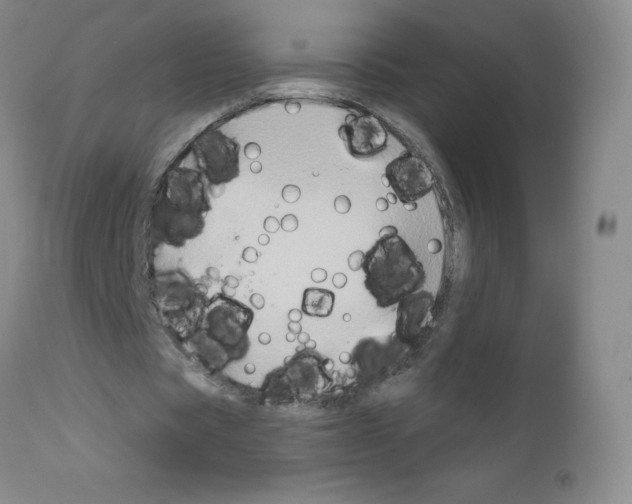 X0000111790529200909031159