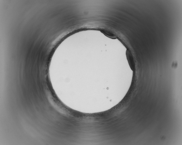 X0000111790530200909031159