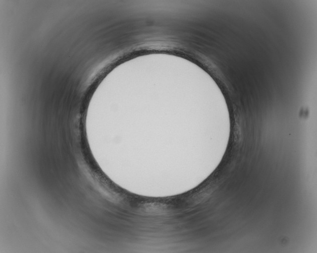 X0000111790535200909031200