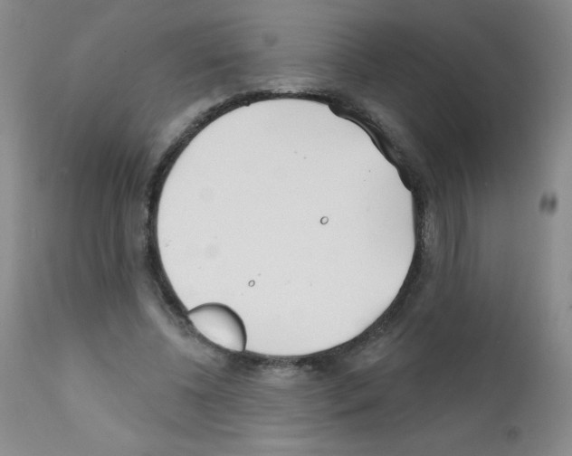 X0000111790540200909031200