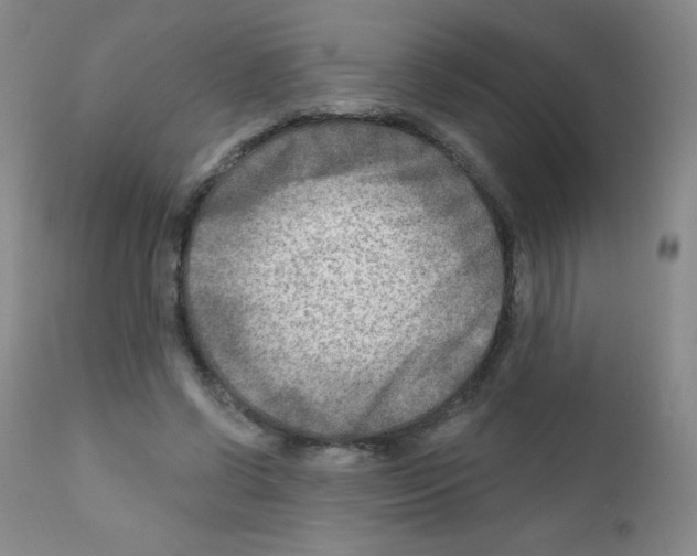 X0000111790542200909031200