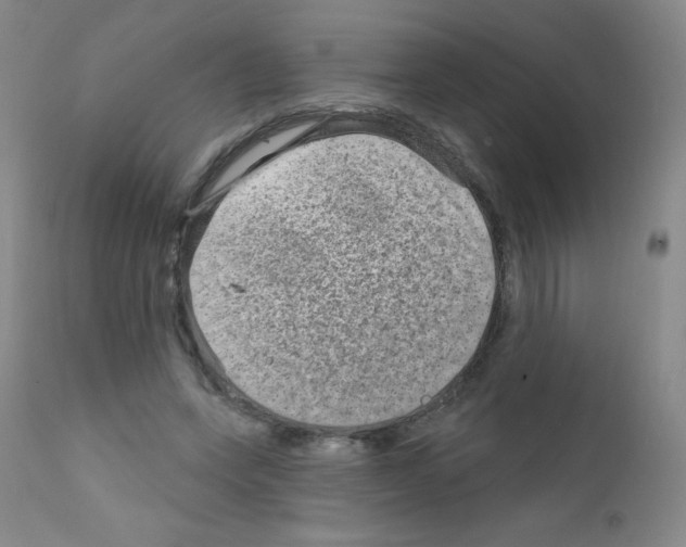 X0000111790543200909031200