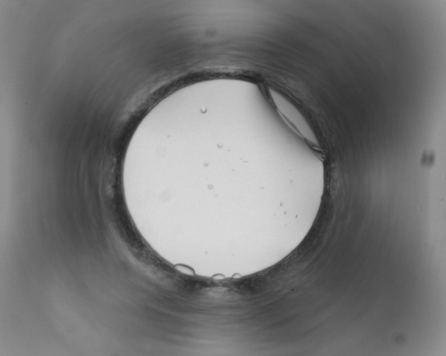 X0000111790544200909031200