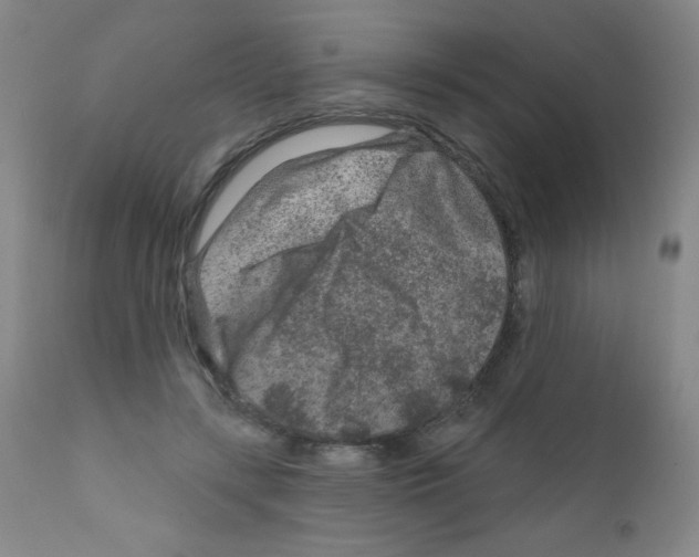 X0000111790547200909031200