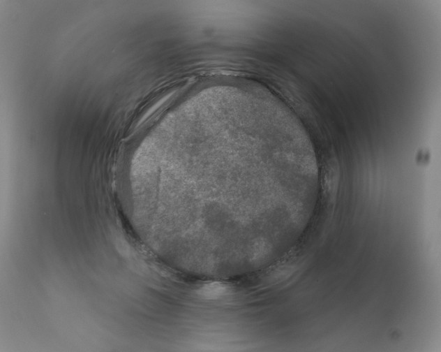 X0000111790551200909031200