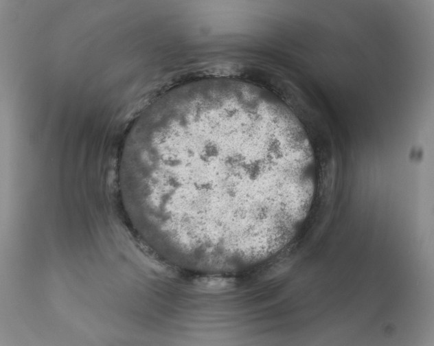 X0000111790553200909031200