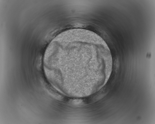 X0000111790554200909031200