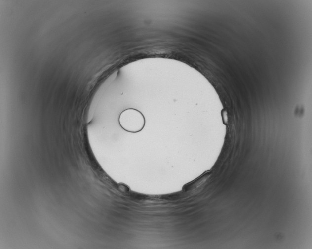 X0000111790556200909031200