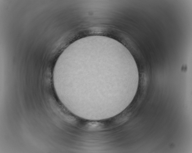 X0000111790557200909031200