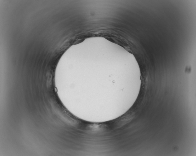 X0000111790558200909031200