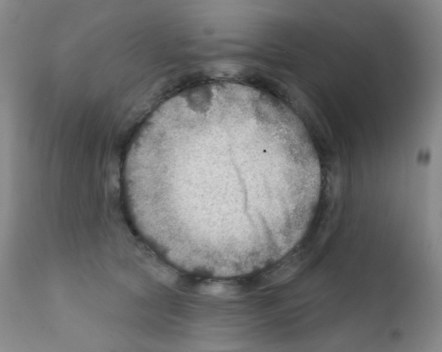 X0000111790561200909031200